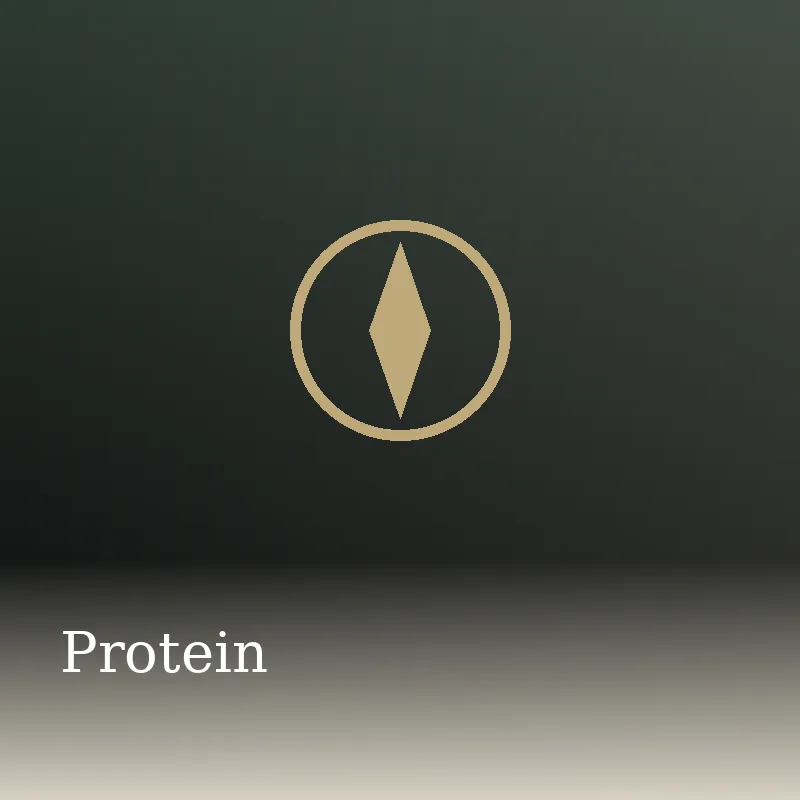 Protein: Fuels by Barbara