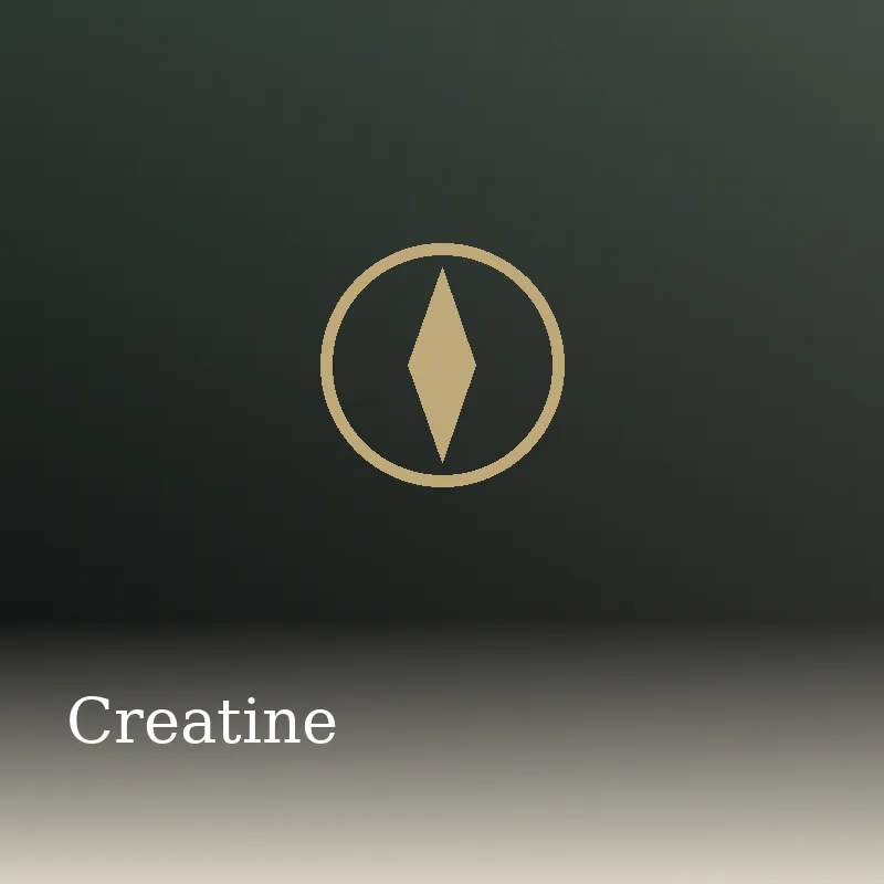 Creatine: Fuels by Barbara